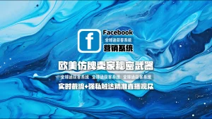 欧美仿牌卖家秘密武器：Facebook营销系统，实时截流+强私触达精准直播观众