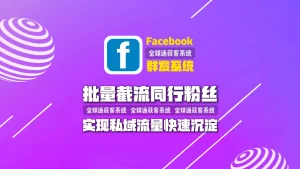欧美仿牌如何用facebook群发系统批量截流同行粉丝，实现私域流量快速沉淀