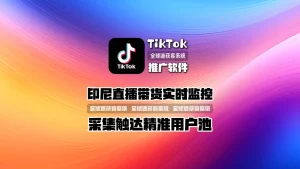 TikTok推广软件：印尼直播带货实时监控采集触达精准用户池