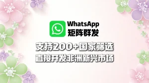 WhatsApp矩阵群发：支持200+国家筛选，直接开发非洲新兴市场