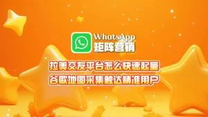 拉美交友平台怎么快速起量？WhatsApp矩阵营销谷歌地图采集触达精准用户