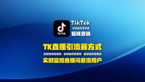 直播引流新方式！TikTok矩阵营销实时监控直播间用户并截流采集，把握最新商机