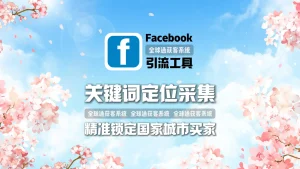 Facebook引流工具：关键词定位采集，精准锁定国家城市买家