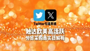 Twitter引流系统实战解析：如何直接触达欧美高活跃外贸采购商