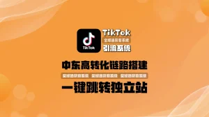 中东高转化链路搭建：TikTok引流系统一键跳转独立站