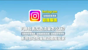 仿牌包表灰色流量怎么玩？Instagram引流系统批量触达真实买家