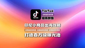印尼小商品出海攻略：TikTok矩阵群发打造百万级曝光池