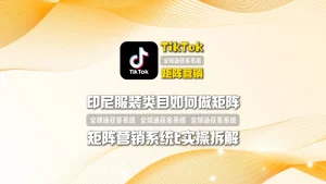 印尼服装类目如何做矩阵？TikTok矩阵营销实操拆解