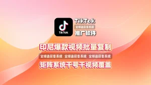 印尼爆款视频批量复制：TikTok推广软件实现千号千视频