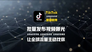 曝光量焦虑？TikTok营销软件批量发布视频，让全球流量主动找你