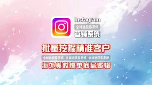 海外美妆爆单的底层逻辑：Instagram营销系统批量挖掘精准客户