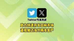 直接触达海外精准客户：Twitter引流系统助力快速开发目标市场