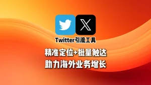 精准定位+批量触达，Twitter引流工具助力海外业务增长