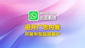 避开广告内卷，中东投资客户用WhatsApp引流系统直接开发