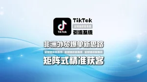 非洲外贸爆单新思路：TikTok引流系统如何实现矩阵式精准获客