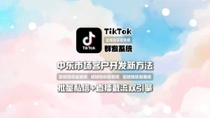 TikTok营销系统：中东市场客户开发新方法，批量私信+直播截流双引擎