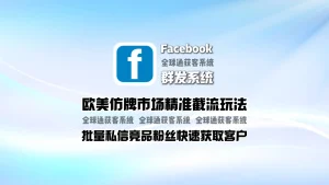 facebook群发系统：欧美仿牌市场精准截流玩法，批量私信竞品粉丝快速获取客户