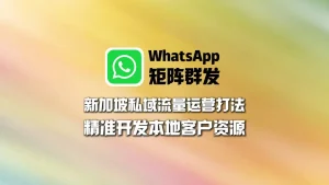 新加坡私域流量运营打法：WhatsApp矩阵群发精准开发本地客户资源