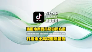 泰国小商品市场破局方案：TikTok矩阵营销打造本土高权重账号池