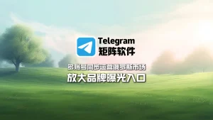 Telegram矩阵软件：多账号同步运营俄罗斯市场，放大品牌曝光入口
