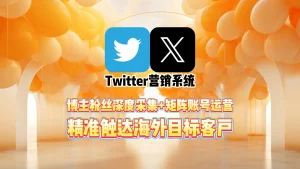 Twitter营销系统：博主粉丝深度采集+矩阵账号运营，精准触达海外目标客户