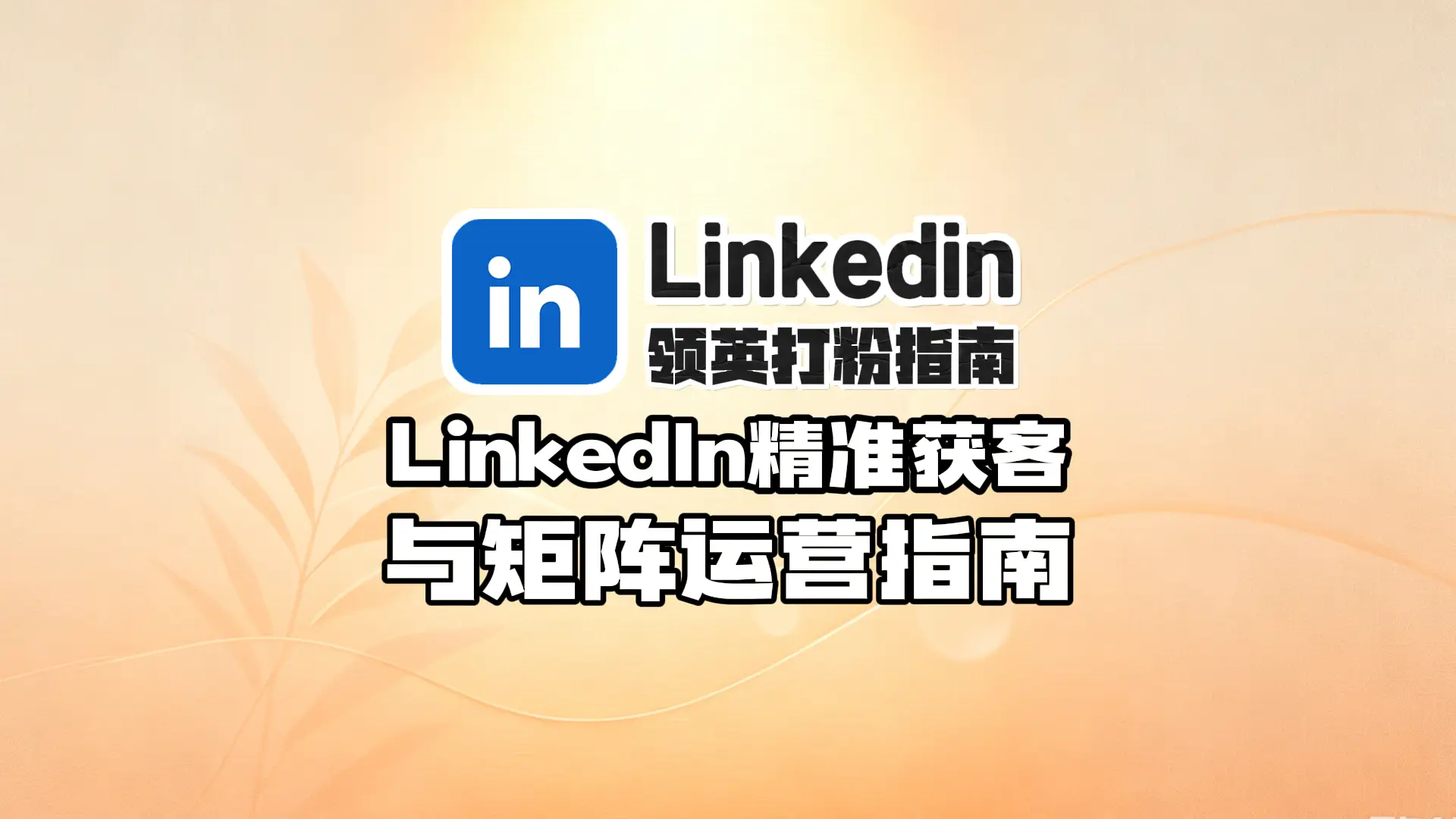 2026领英号打粉指南,LinkedIn精准获客与矩阵运营