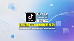 TK私信群发：让你的TikTok营销更高效