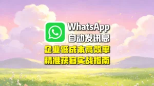 WhatsApp群发信息怎么做？企业低成本精准获客实战指南