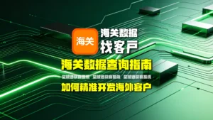 海关数据查询指南：如何利用海关数据精准开发海外客户