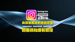 Instagram引流打粉：从流量困境到高效获客的系统化增长路径