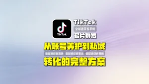 TikTok名片群发如何实现精准获客？从账号养护到私域转化的完整方案