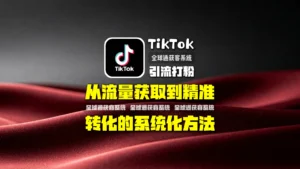 TikTok引流打粉全流程解析：从流量获取到精准转化的系统化方法