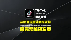 TikTok引流群发怎么做？从账号运营到精准获客的完整解决方案