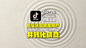 TikTok打粉工具实战解析：如何批量获取精准用户并转化成交