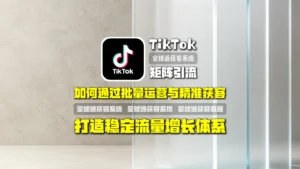 TikTok矩阵引流：如何通过批量运营与精准获客打造稳定流量增长体系