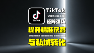 TikTok矩阵强私运营指南，提升精准获客与私域转化