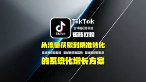 TikTok矩阵打粉全流程解析：从流量获取到精准转化的系统化增长方案