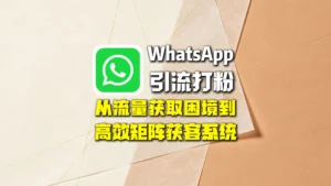 WhatsApp引流打粉全流程解析：从流量获取困境到高效矩阵获客系统