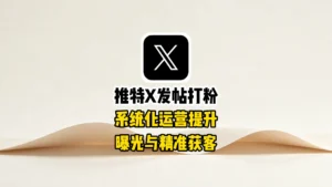 推特X发帖打粉,系统化运营提升曝光与精准获客