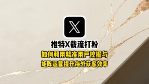 推特X截流打粉：如何利用精准用户挖掘与矩阵运营提升海外获客效率