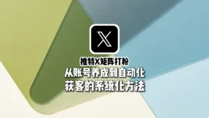 推特X矩阵打粉全流程解析：从账号养成到自动化获客的系统化方法