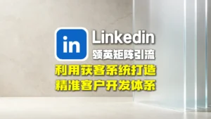 领英矩阵引流：利用获客系统打造精准客户开发体系