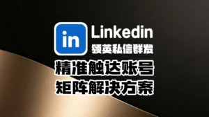 领英私信群发获客系统：精准触达账号矩阵解决方案