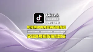 TikTok矩阵引流软件：如何解决海外营销获客难题，实现账号矩阵精准增长