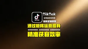 TikTok矩阵采集群发：如何通过矩阵运营提升精准获客效率