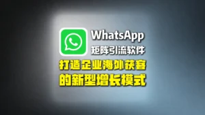 WhatsApp矩阵引流软件：打造企业海外获客的新型增长模式