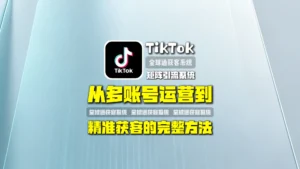 TikTok矩阵引流系统：从多账号运营到精准获客的完整方法