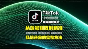 TikTok矩阵群控强私怎么做？从账号矩阵到精准私信获客的完整方法