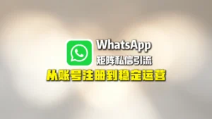 WhatsApp矩阵私信引流：从账号注册到稳定运营
