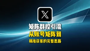 推特X矩阵群控引流怎么做？从账号矩阵到精准获客的完整思路